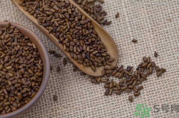決明子泡茶喝可以減肥嗎？決明子泡茶喝有減肥效果嗎？