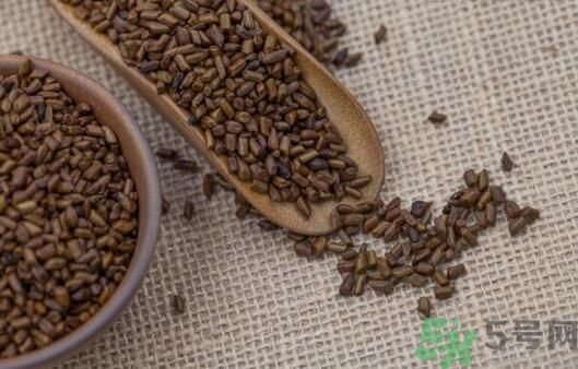 決明子泡茶加什么好？決明子和什么一起泡好？