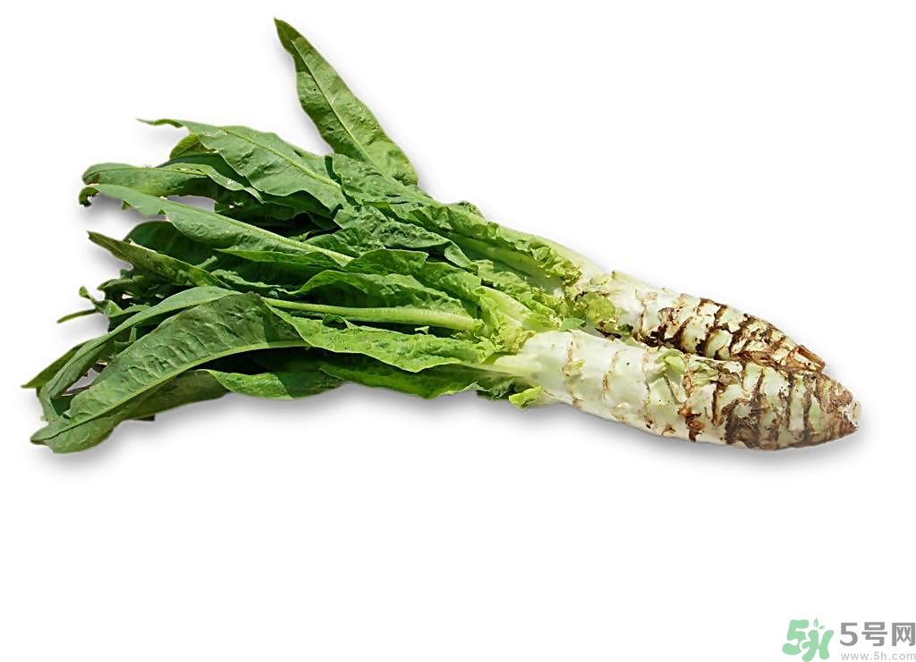 新鮮的萵筍怎么保存？削皮的萵筍怎么保存？