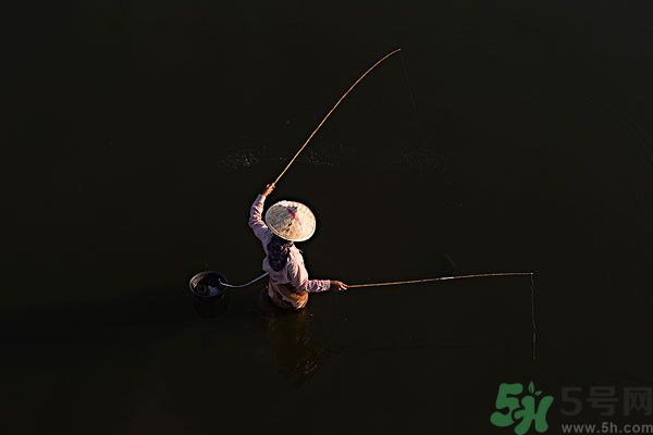 雷陣雨可以釣魚嗎？雷陣雨天氣適合釣魚嗎？