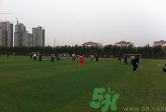 晚自習(xí)后跑步好嗎？下晚自習(xí)吃什么比較好？