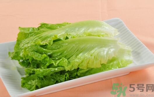 生菜會引起過敏嗎？吃生菜會過敏嗎？
