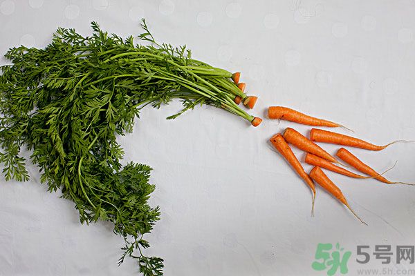 吃西瓜能防曬嗎？吃巧克力能紫外線嗎？