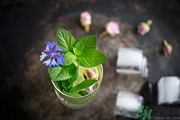 薄荷曬干泡茶有什么好處？薄荷曬干泡水的功效