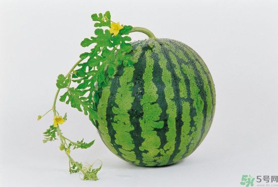西瓜怎么挑熟的甜的？西瓜的儲(chǔ)存方法？