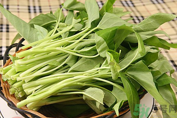 空心菜是菠菜嗎？空心菜是不是菠菜？