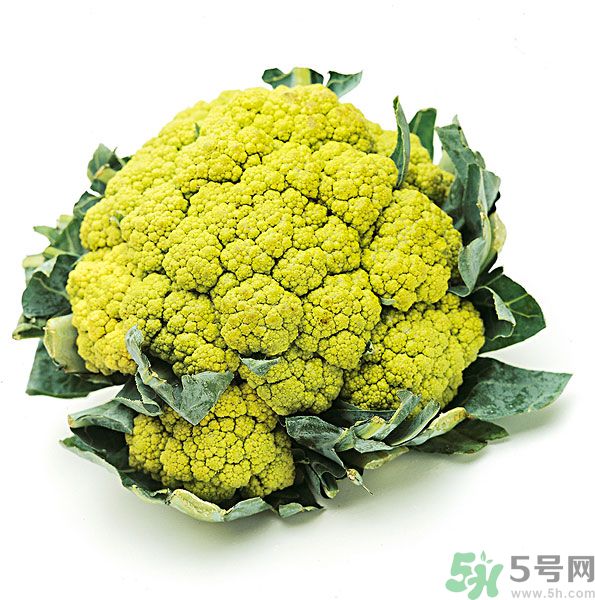 玉川和斯利安哪個(gè)好？葉酸片什么牌子最好？