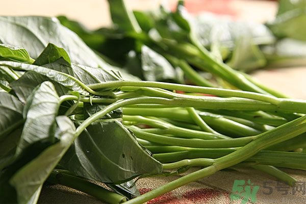 空心菜是菠菜嗎？空心菜是不是菠菜？
