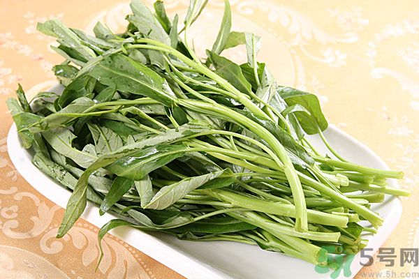 空心菜是菠菜嗎？空心菜是不是菠菜？