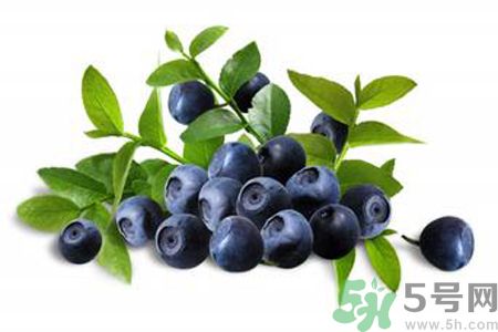 藍(lán)莓是熱性還是涼性？藍(lán)莓是涼性嗎？