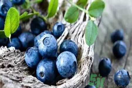 月經期間可以吃藍莓嗎？來月經可以吃藍莓嗎？