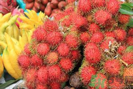 寶寶可以吃紅毛丹嗎？寶寶多大了可以吃紅毛丹？