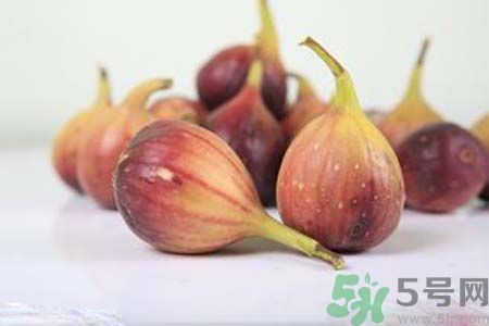 胃不好可以吃無花果嗎？胃不好吃無花果好嗎？