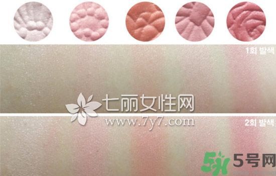 canmake花瓣腮紅色號對比圖？canmake五色花瓣腮紅試色