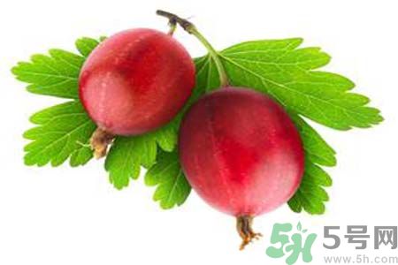 吃無花果干會(huì)長(zhǎng)胖嗎？怎樣吃無花果干不會(huì)長(zhǎng)胖？