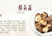  哺乳期可以吃猴頭菇嗎？產(chǎn)婦可以吃猴頭菇嗎？