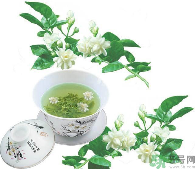 喝茉莉花茶會過敏嗎？喝茉莉花茶過敏了怎么辦？