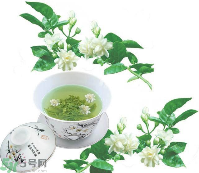 茉莉花茶可以減肥嗎？怎樣喝茉莉花茶可以減肥？