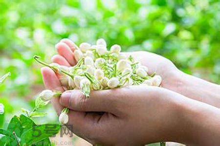 茉莉花茶可以和玫瑰花茶一起喝嗎？茉莉花茶和玫瑰花茶一起泡著喝好嗎？