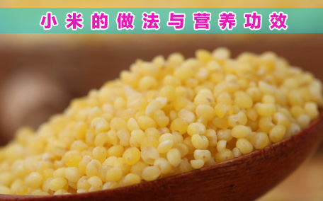 什么是粟米呢 粟米有什么營(yíng)養(yǎng)價(jià)值呢