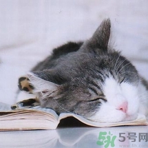 如何控油？如何控油祛痘？