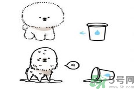 虛胖是什么原因？虛胖怎么辦？