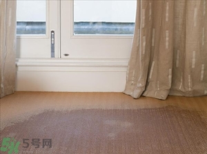 房間潮濕怎么辦？房間潮濕如何解決？
