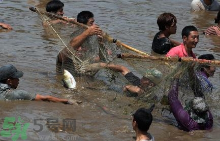 發(fā)洪水怎么抓魚？發(fā)洪水時(shí)的抓魚方法