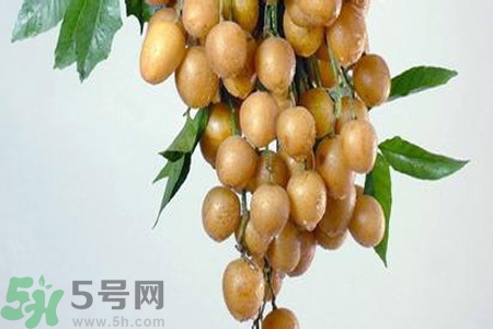 黃皮果是酸性還是堿性？黃皮果是堿性嗎？