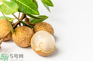 桂圓可以泡酒嗎？桂圓的功效與作用