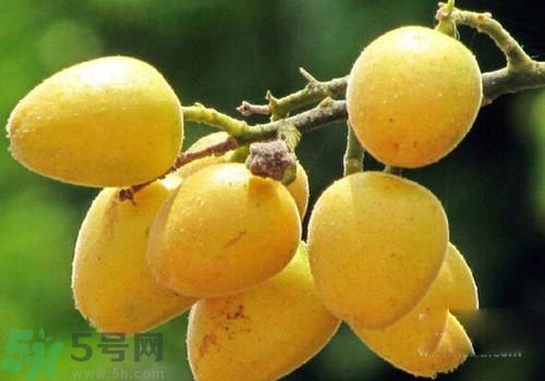 黃皮果的皮可以吃嗎？黃皮果的皮有什么作用