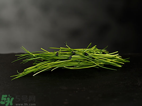 吃韭菜會燒心嗎？吃韭菜燒心怎么辦？