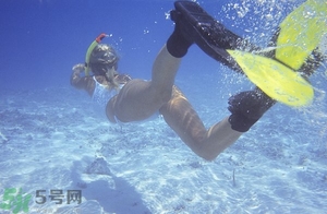 浮潛是什么意思？深潛和浮潛有什么區(qū)別？?
