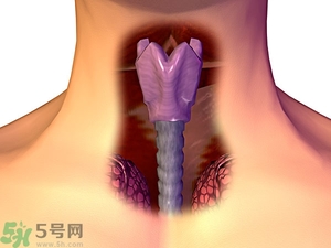 ?皰疹性咽峽炎有什么癥狀？寶寶?皰疹性咽峽炎癥狀