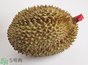 榴蓮沒開口可以吃嗎？榴蓮沒裂開能吃嗎？