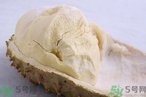榴蓮能放冰箱嗎？榴蓮放在冰箱能保存幾天？