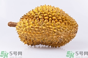 榴蓮能放冰箱嗎？榴蓮放在冰箱能保存幾天？