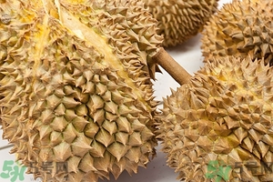 榴蓮能放冰箱嗎？榴蓮放在冰箱能保存幾天？