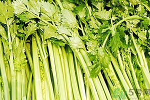貧血能吃芹菜嗎？貧血吃芹菜好不好？