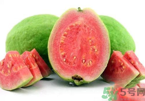 番石榴是發(fā)物嗎？番石榴是不是發(fā)物？