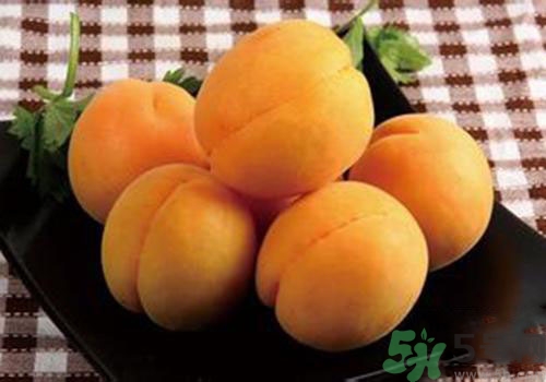 杏子是熱性還是涼性？杏子是涼性的嗎？