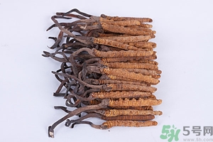 冬蟲夏草真假怎么鑒別？冬蟲夏草怎么吃效果最好？