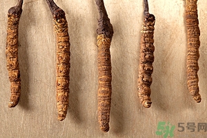 冬蟲夏草真假怎么鑒別？冬蟲夏草怎么吃效果最好？