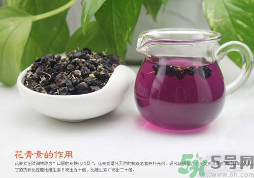 黑枸杞泡水是什么顏色？黑枸杞泡水是紫色的嗎？