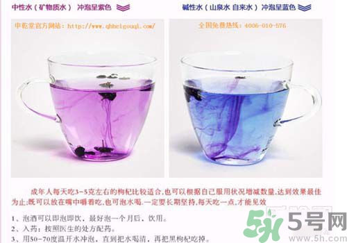 黑枸杞怎么辨別真假？怎么挑選黑枸杞？