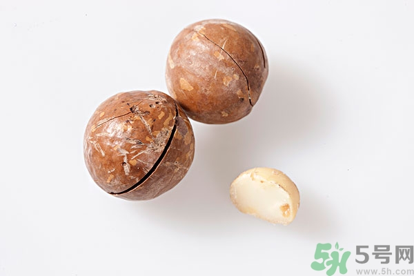 夏威夷果什么時候成熟上市？腰果和夏威夷果的區(qū)別