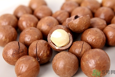 夏威夷果沒(méi)有開果器怎么開殼？夏威夷果縫怎么來(lái)的？