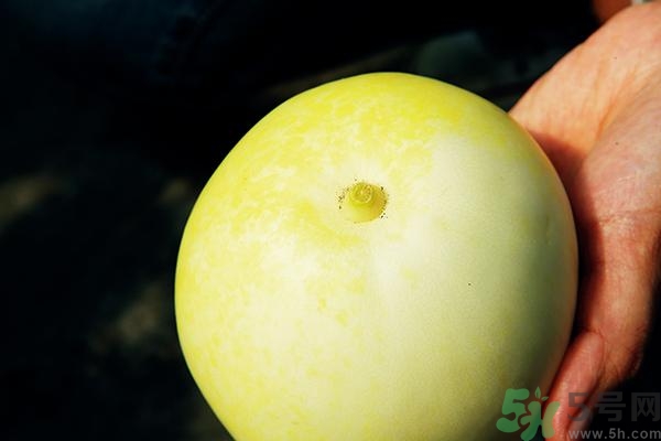 香瓜有酒味能吃嗎？香瓜有酒味吃了會怎樣？
