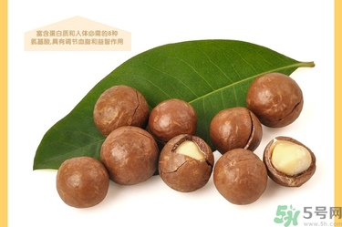 夏威夷果肉黏殼怎么辦？夏威夷果能放多久？
