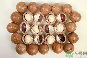夏威夷果產(chǎn)地在哪里？夏威夷果為什么有奶香？
